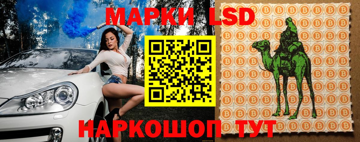 Марки N-bome 1,8мг  Марки N-bome 1,8мг  Волхов  Марки N-bome  сколько стоит  Вход с VPN 