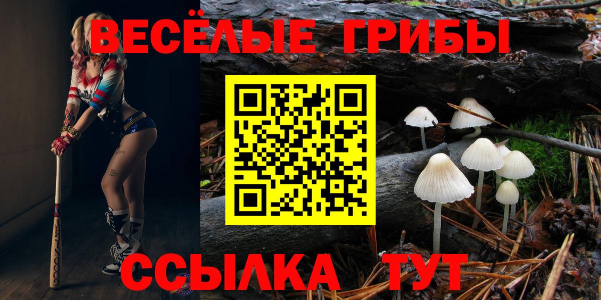 Псилоцибиновые грибы GOLDEN TEACHER  наркотики  Волхов  Вход с VPN 