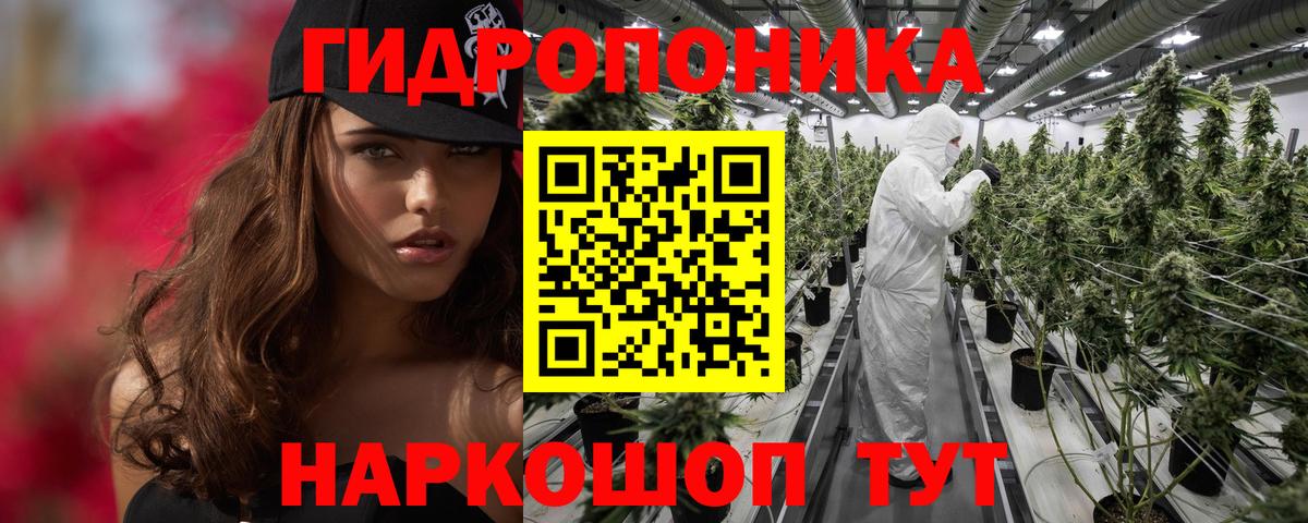 МАРИХУАНА марихуана Волхов